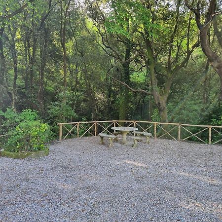 Villa Pavone Riparbella Esterno foto