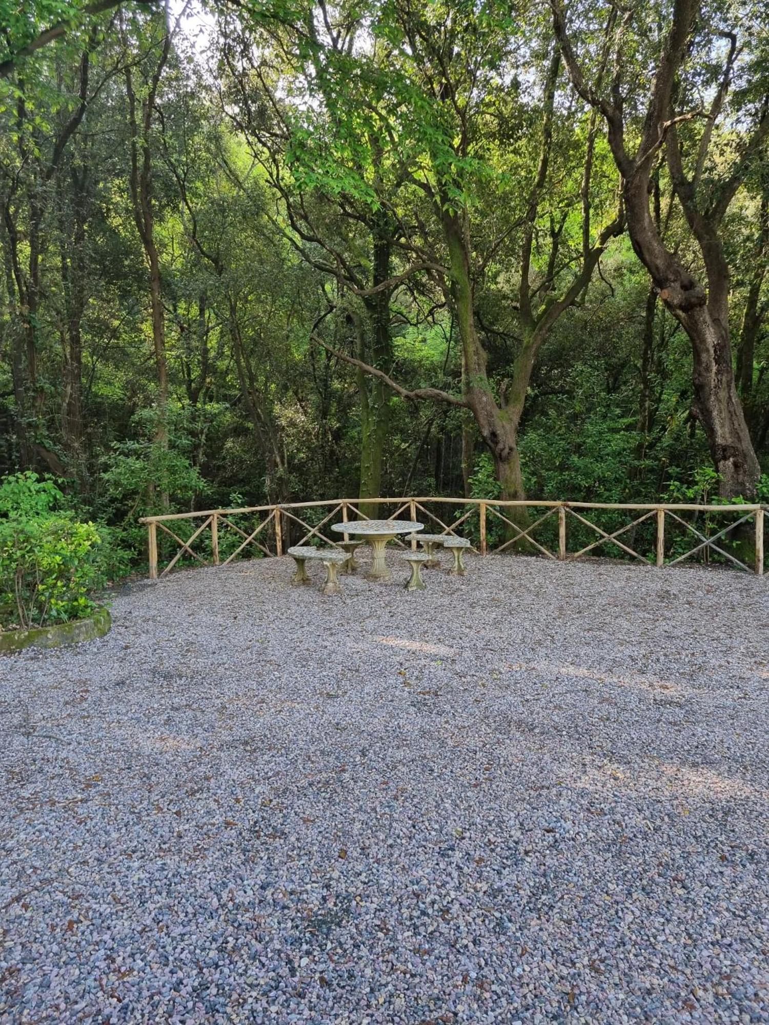 Villa Pavone Riparbella Esterno foto